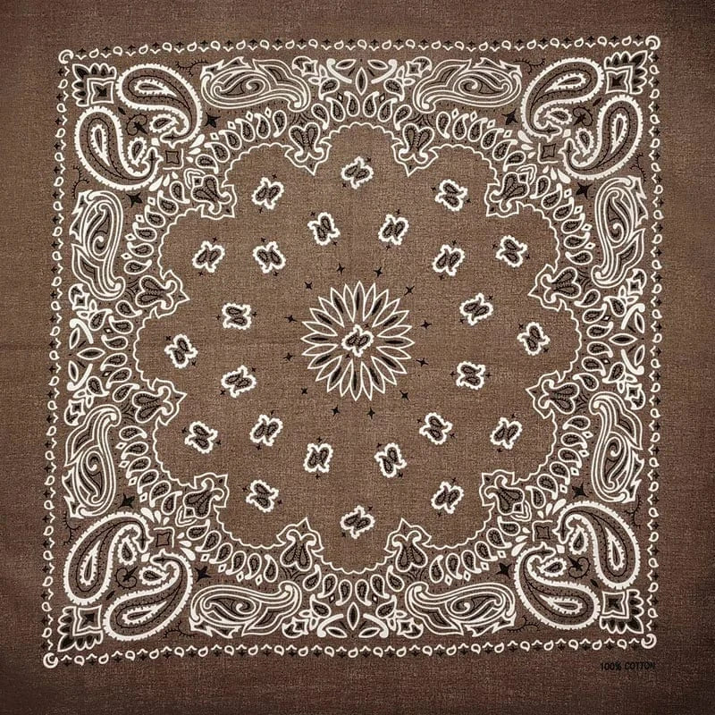 Brun Paisley Bandana Brun
