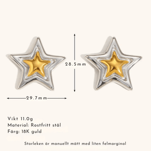 Stjärna örhängen